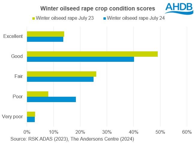 Chart of GB winter oilseed rape crop conditions scores at the start of July 2024